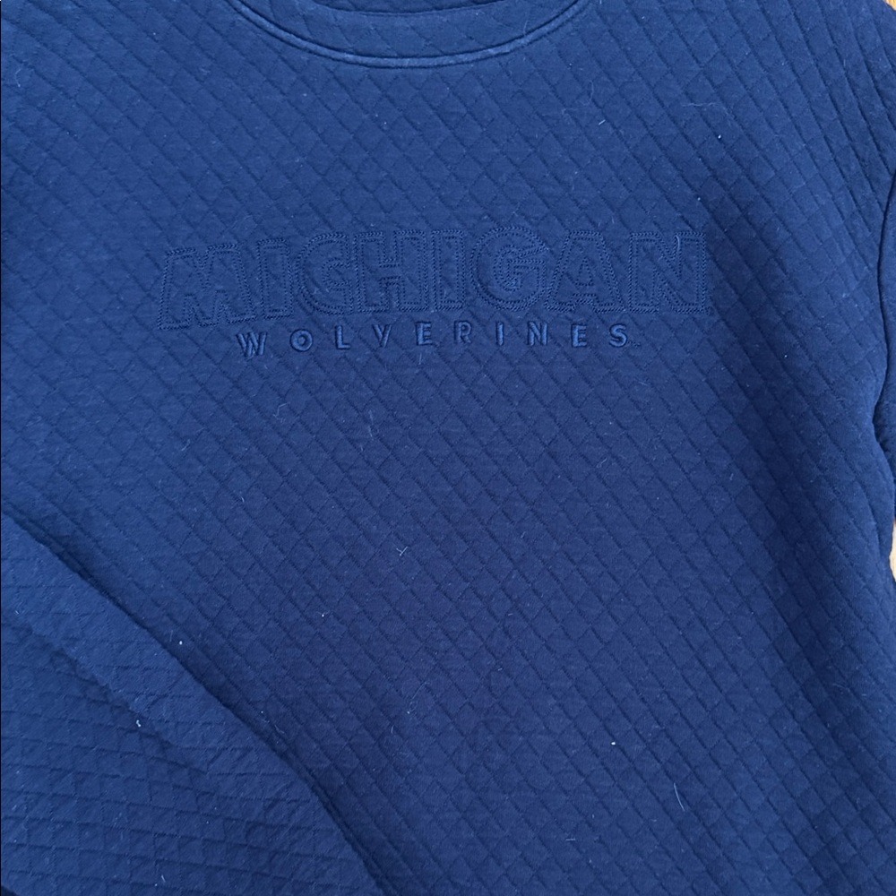 University of Michigan Champion Crew neck